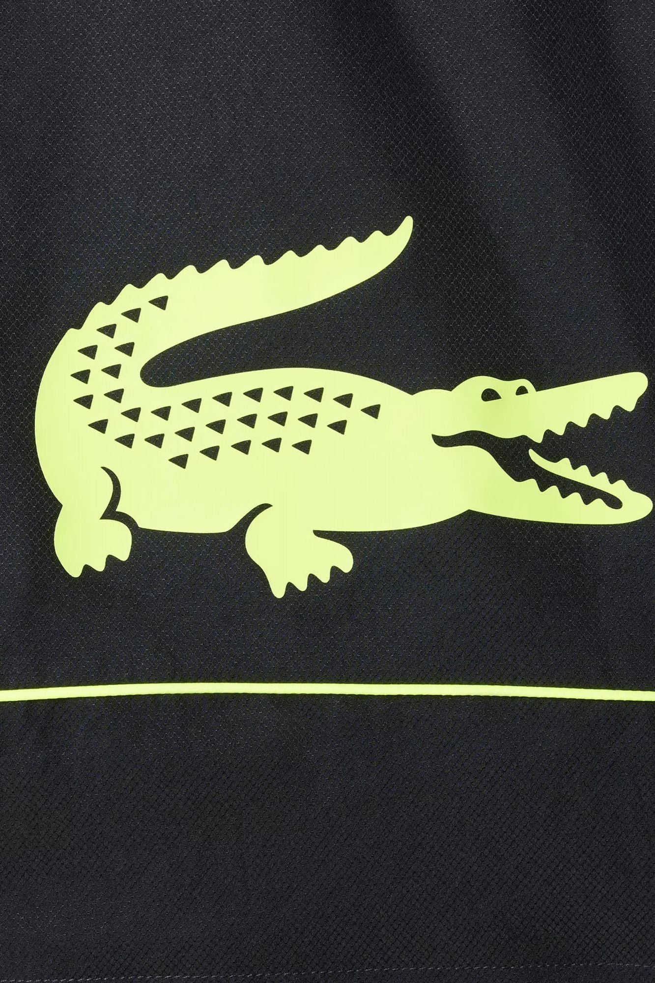 1000138672 - Image 2