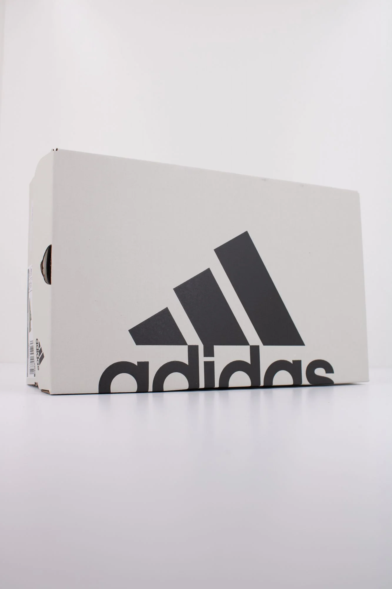 1000137451 - Image 6