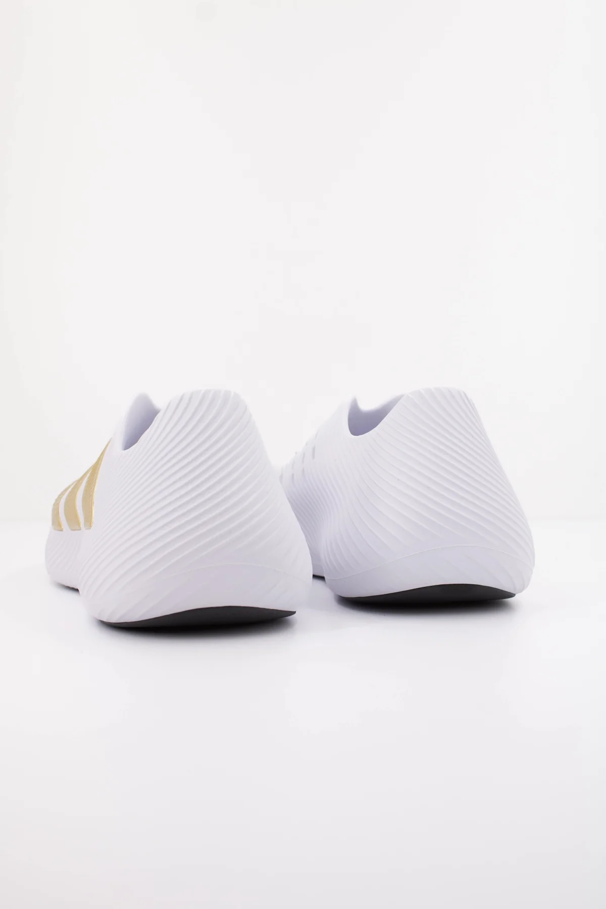 1000153749 - Image 4