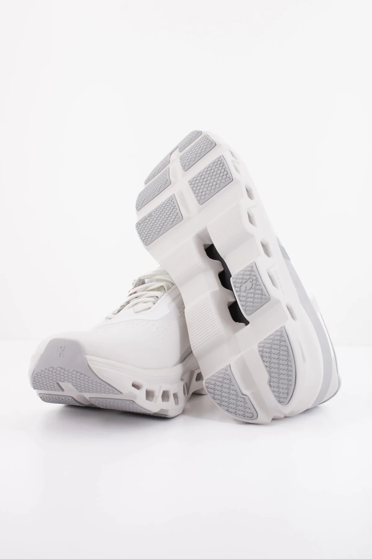 1000148259 - Image 5