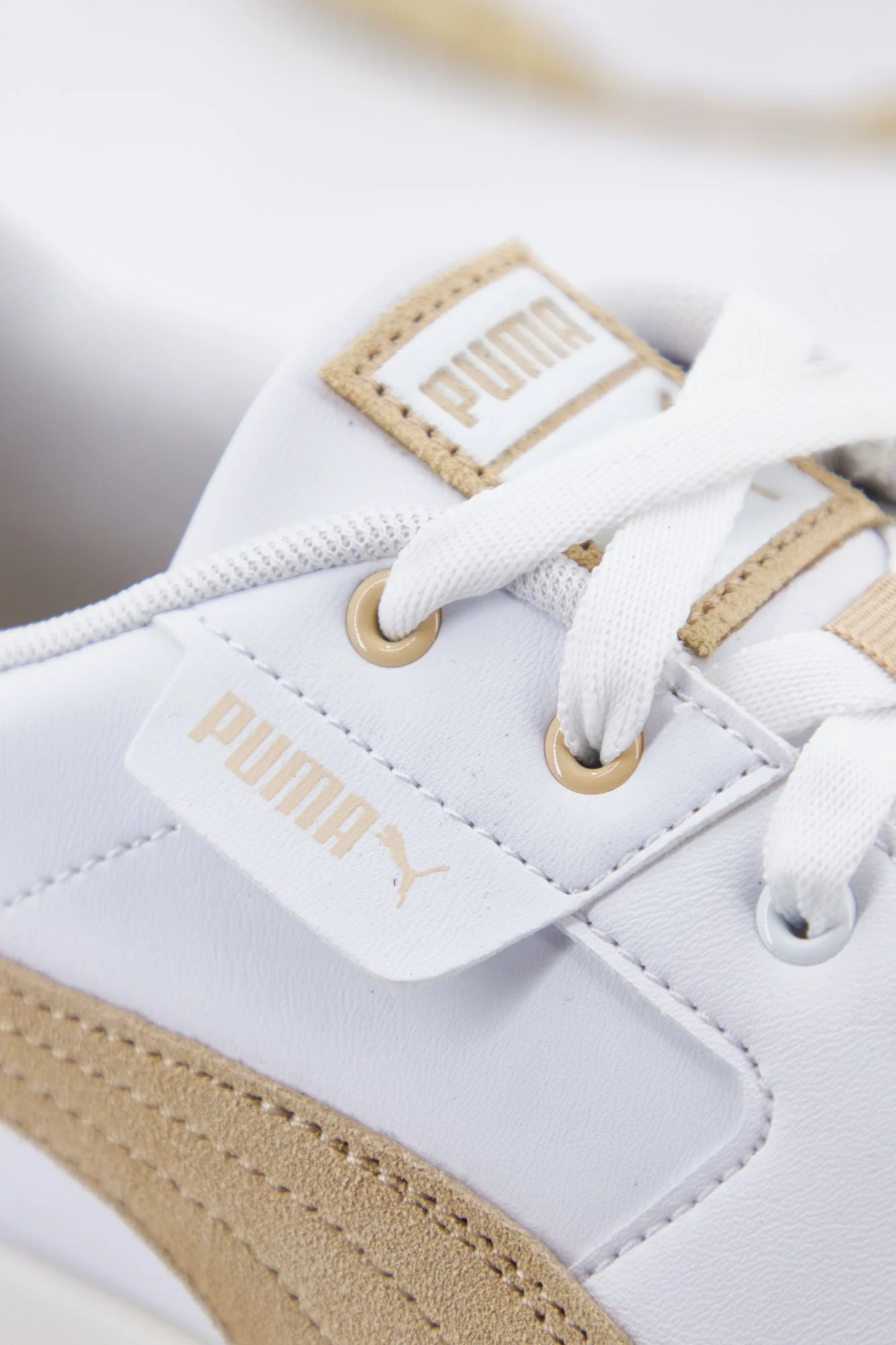 1000078916 - Image 4